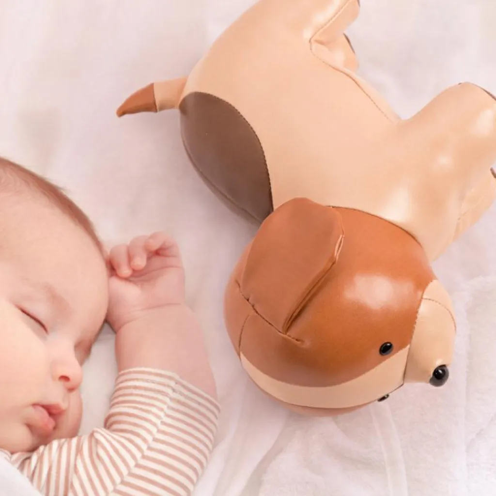 Discount Adrien le Chien musical Peluche Musicale