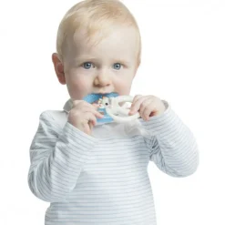 Anneau de dentition Fresh Jouet / Anneau De Dentition