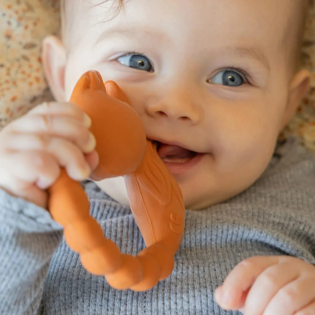 Outlet Anneau de dentition Renard Jouet / Anneau De Dentition