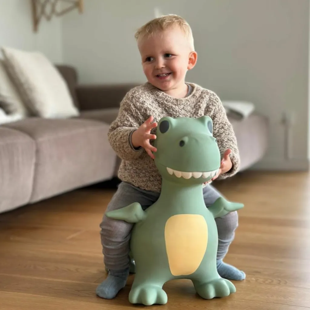 New Ballon sauteur Le Dino Dexter Ballon Sauteur