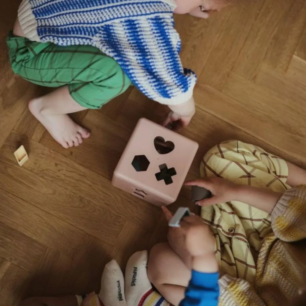 Hot Boîte à formes Shape Petal Jouet À Encastrer