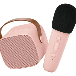 Discount Boîte karaoké enceinte et micro Rose Micro Karaoké
