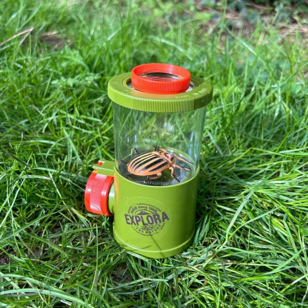 Boîte loupe triple vue Découverte du Monde Jeu D'Observation