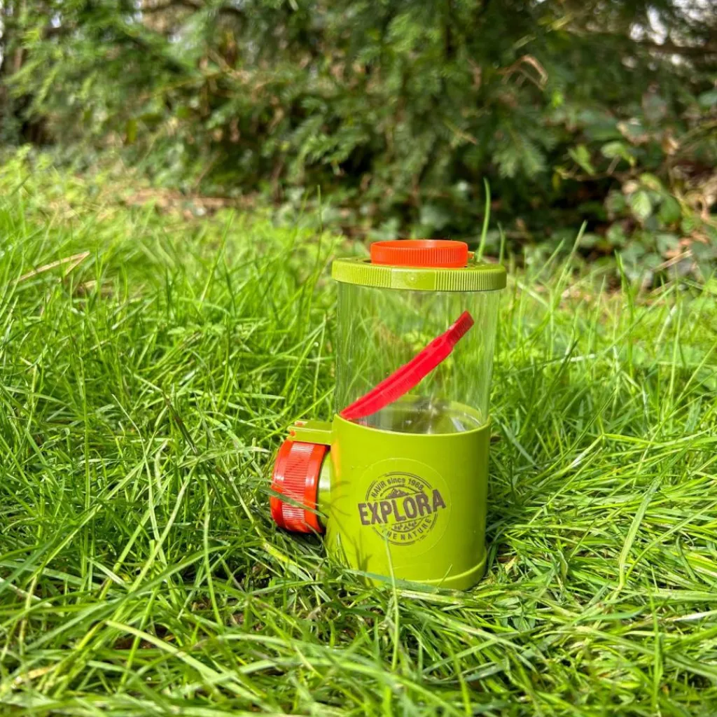 Boîte loupe triple vue Découverte du Monde Jeu D'Observation