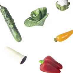 Best Bouteille sensorielle Learn bottle Veggies Bouteille Sensorielle