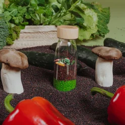 Best Bouteille sensorielle Learn bottle Veggies Bouteille Sensorielle