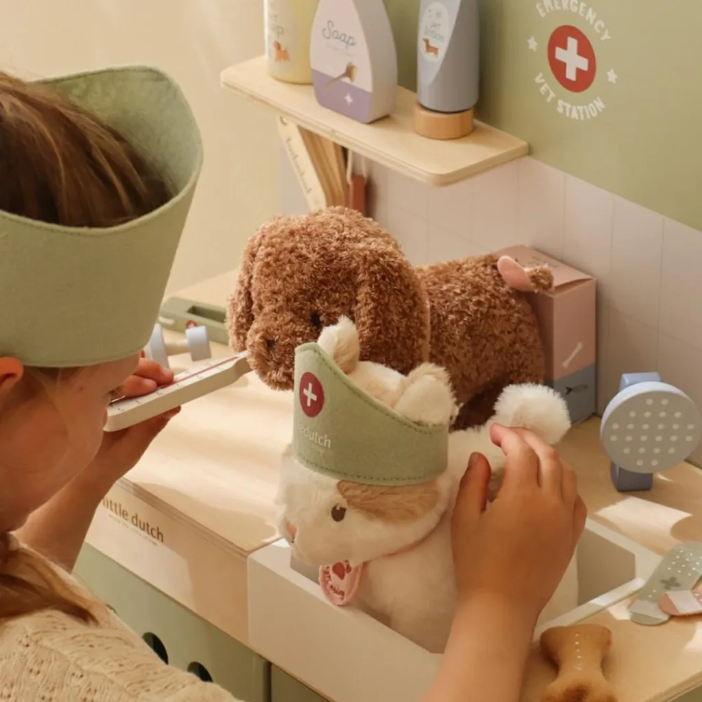 Cabinet de vétérinaire en bois FSC Docteur / Vétérinaire