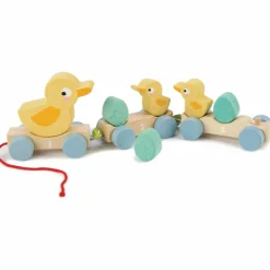 Outlet Canards à tirer Jouet À Tirer / Pousser