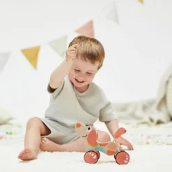 Hot Chien Puppy édition limitée à tirer Jouet À Tirer / Pousser