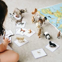 Coffret Giga Mondy (600 cartes Montessori pour développer le langage) Imagier