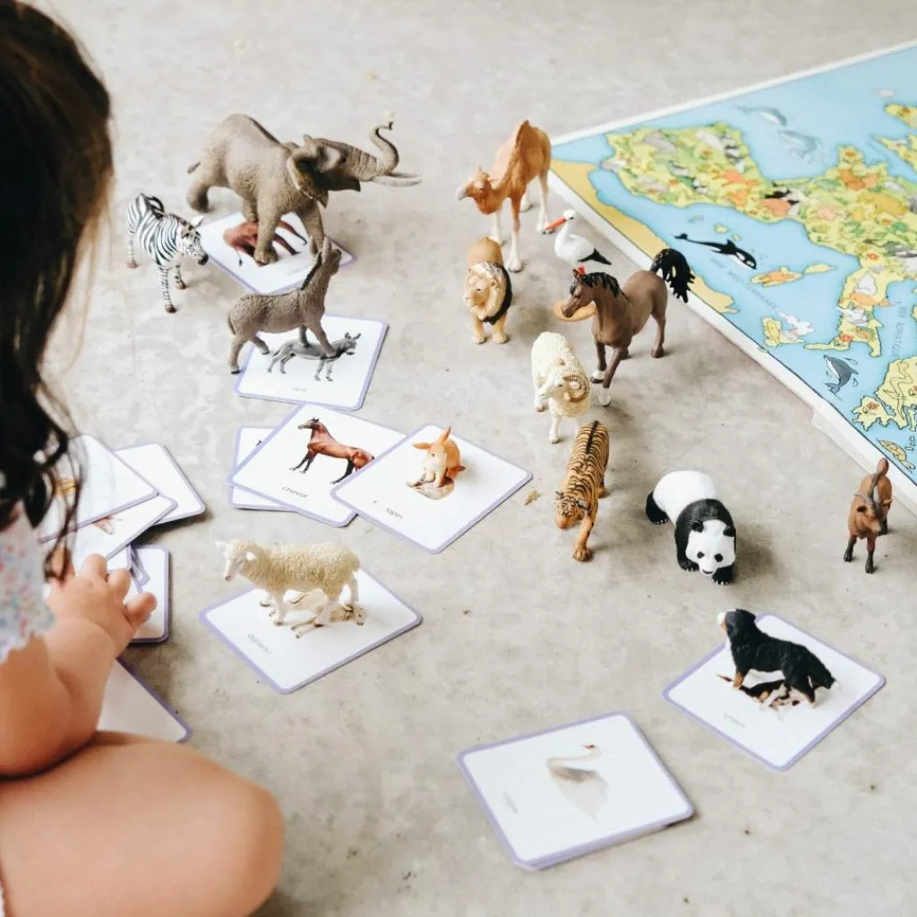 Coffret Giga Mondy (600 cartes Montessori pour développer le langage) Imagier