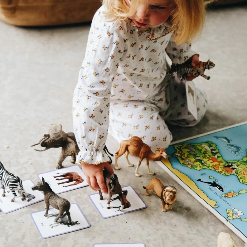 Coffret Giga Mondy (600 cartes Montessori pour développer le langage) Imagier