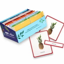 Coffret Giga Mondy (600 cartes Montessori pour développer le langage) Imagier