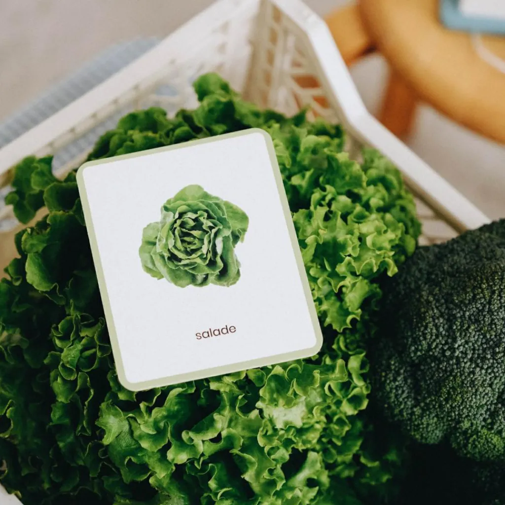 New Coffret Mini Mondy (jeu de langage autour des fruits et légumes) Apprentissage Du Temps Et Quotidien