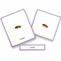 Hot Coffret Mini Mondy (jeu de langage autour des animaux) Apprentissage Du Temps Et Quotidien