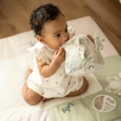 Outlet Cube d'activités Animals Laurel Balle / Cube D'Activités