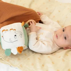 Sale Cube d'activités Diplododo Balle / Cube D'Activités