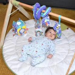 Sale Cube d'activités Kiprokos le zèbre Balle / Cube D'Activités