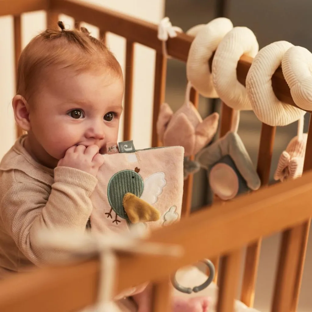 Outlet Cube d'activités Lovely Birds Balle / Cube D'Activités