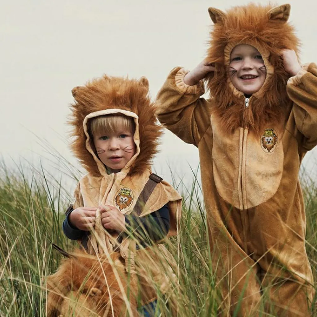 Sale Déguisement de lion (4 ans) Enfant Déguisement Enfant