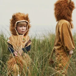 Sale Déguisement de lion (4 ans) Enfant Déguisement Enfant