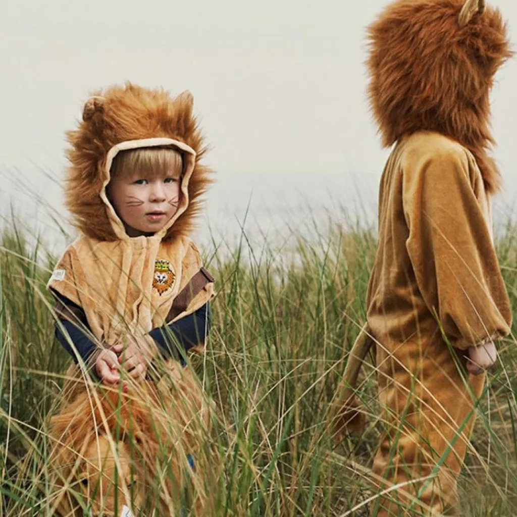 Sale Déguisement de lion (4 ans) Enfant Déguisement Enfant