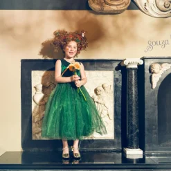 Déguisement Luisa robe (5-7 ans) Enfant Déguisement Enfant