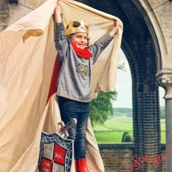 Outlet Déguisement Roi Arthur (5-7 ans) Enfant Déguisement Enfant