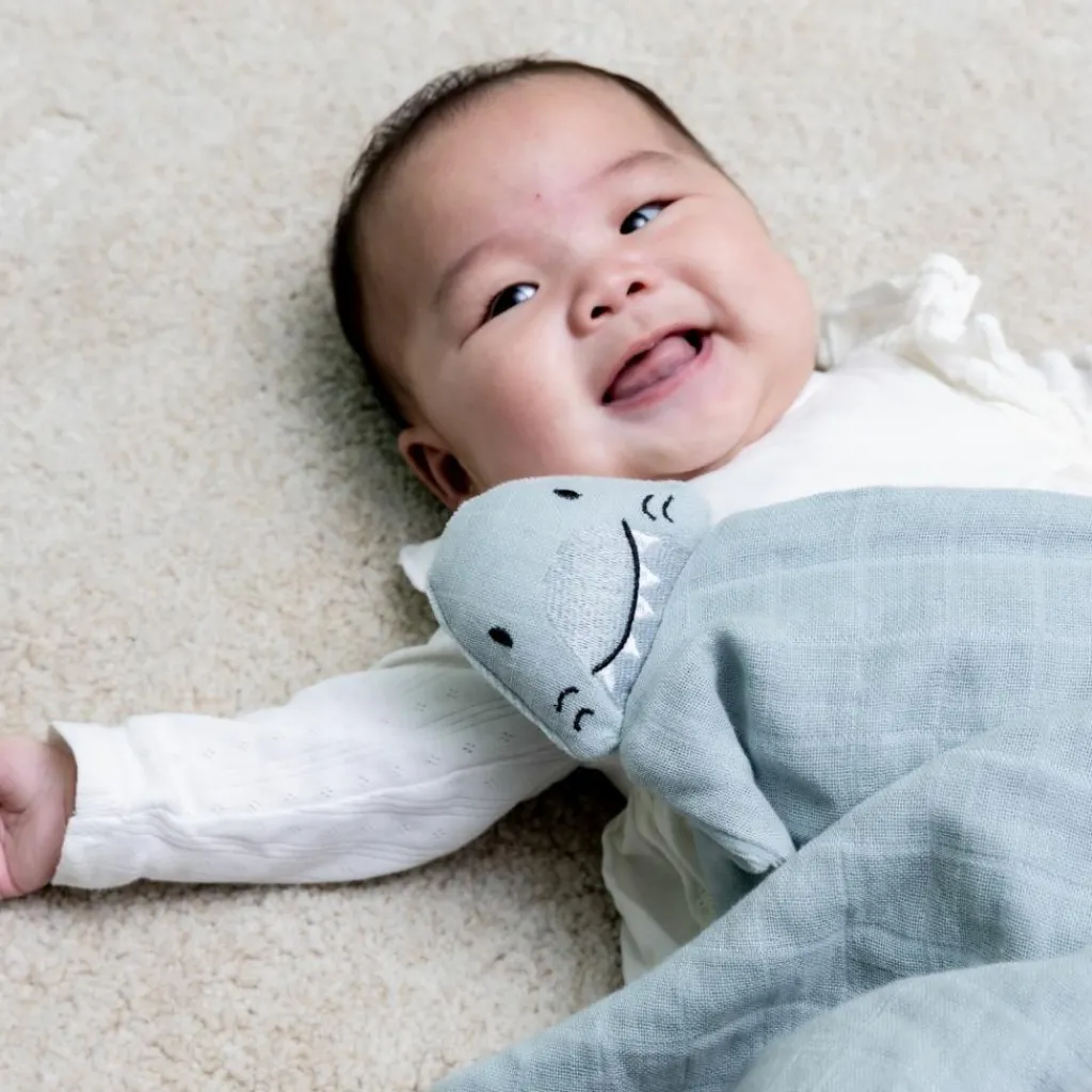 New Doudou plat Bliss Mr. Shark Doudou Plat