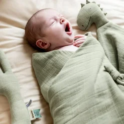 Doudou plat Bliss Sage Mr. Dino Doudou Plat