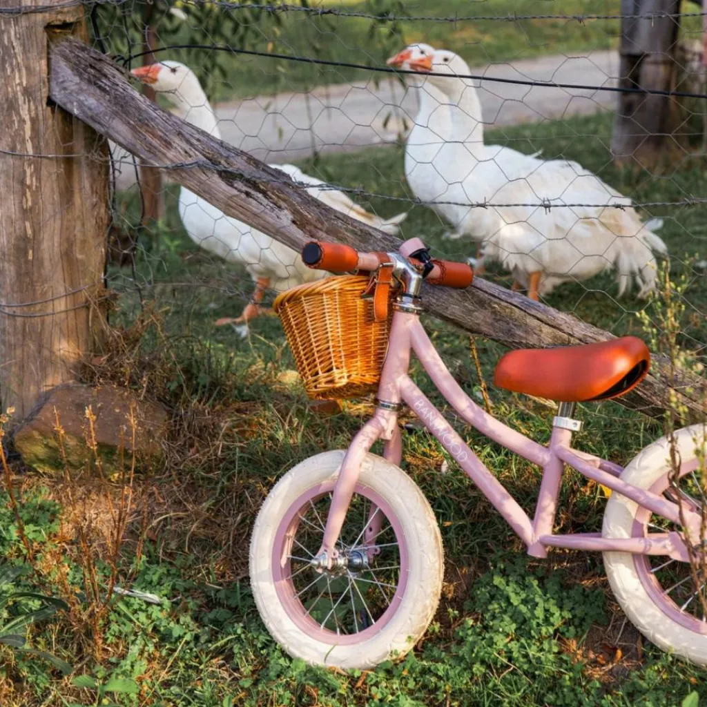 Clearance Draisienne First Go Dusty Pink Draisienne