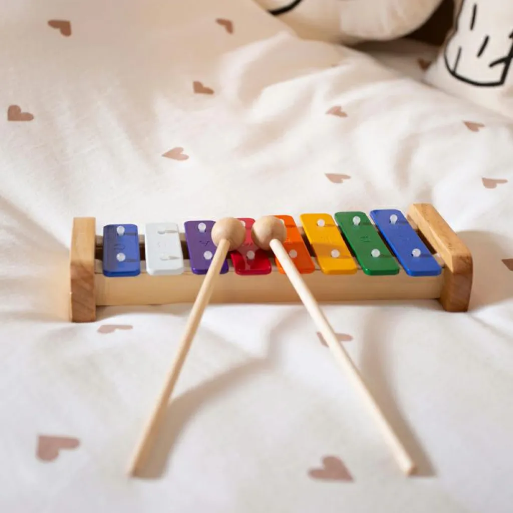 Outlet Ensemble de musique (8 pièces) Instrument De Musique