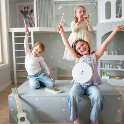 Sale Harmonica Vert Instrument De Musique