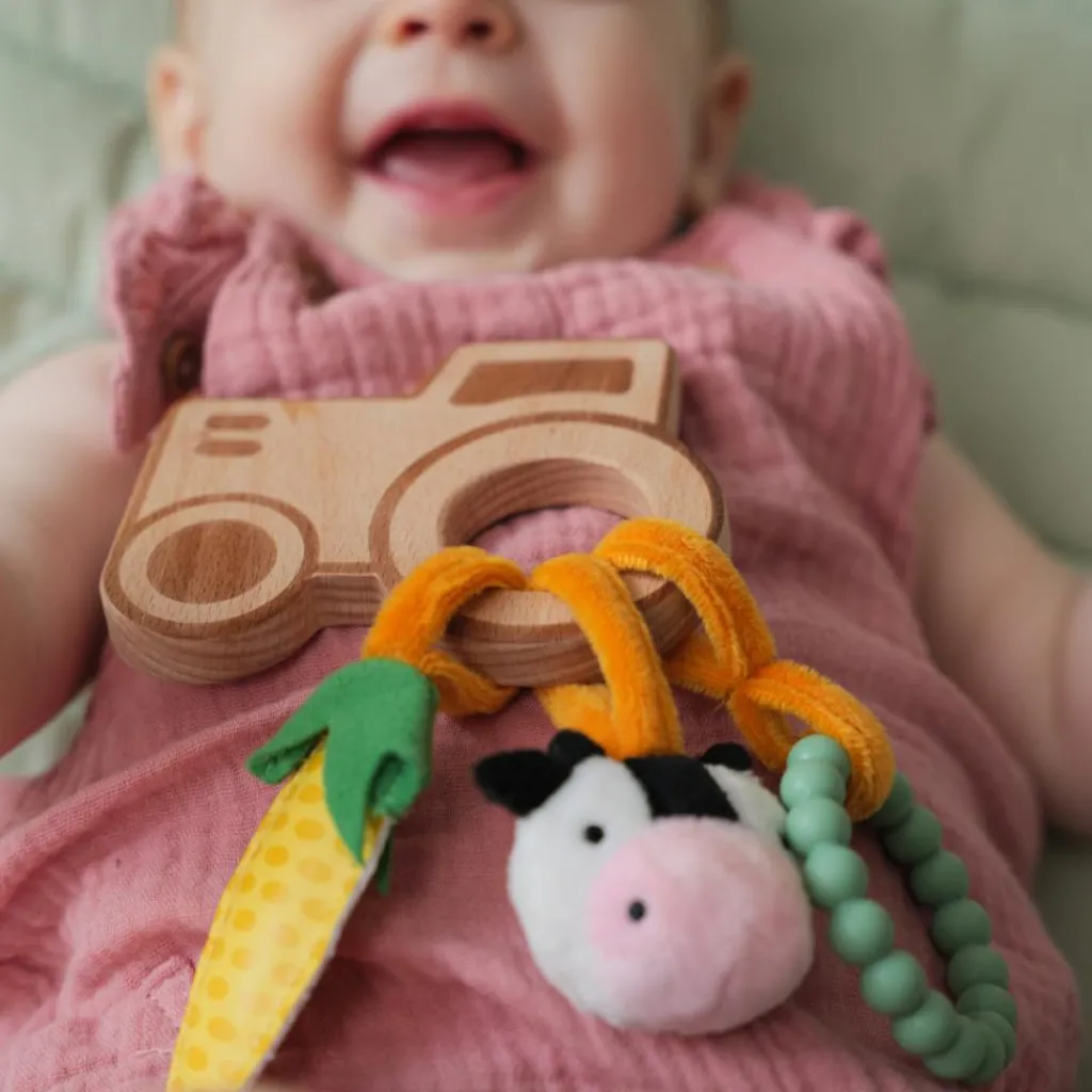 Hochet en bois Ferme Hochet