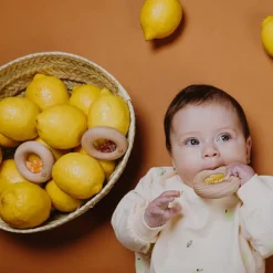 Hochet sensoriel Sensory Donut citrons Bouteille Sensorielle