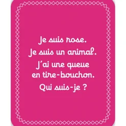 Jeu de société Cherche et trouve les couleurs Jeu De Société