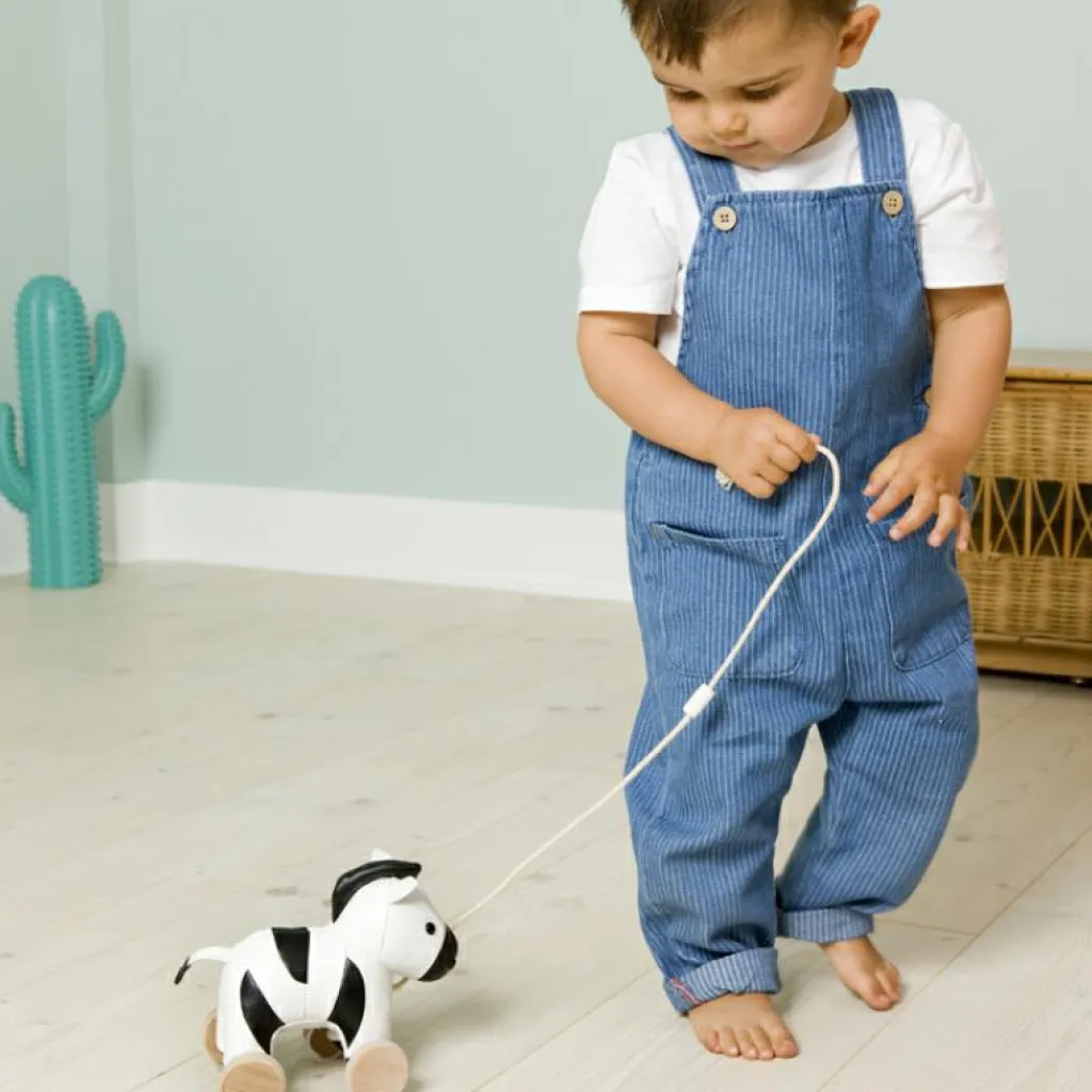 Sale Jouet à tirer Robert le Zèbre Jouet À Tirer / Pousser