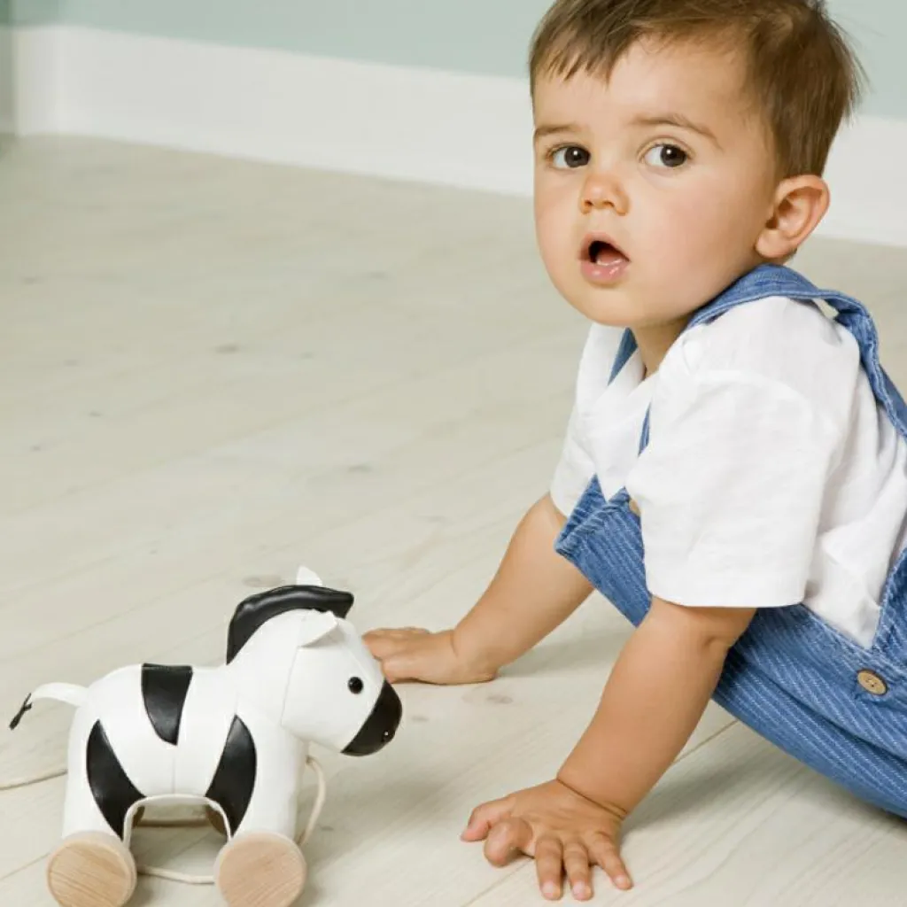 Sale Jouet à tirer Robert le Zèbre Jouet À Tirer / Pousser