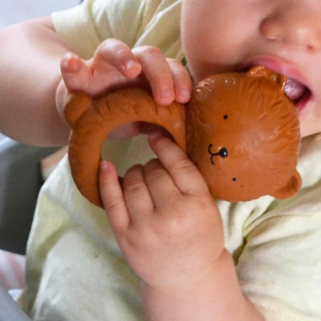 New Jouet de dentition Ours Jouet / Anneau De Dentition
