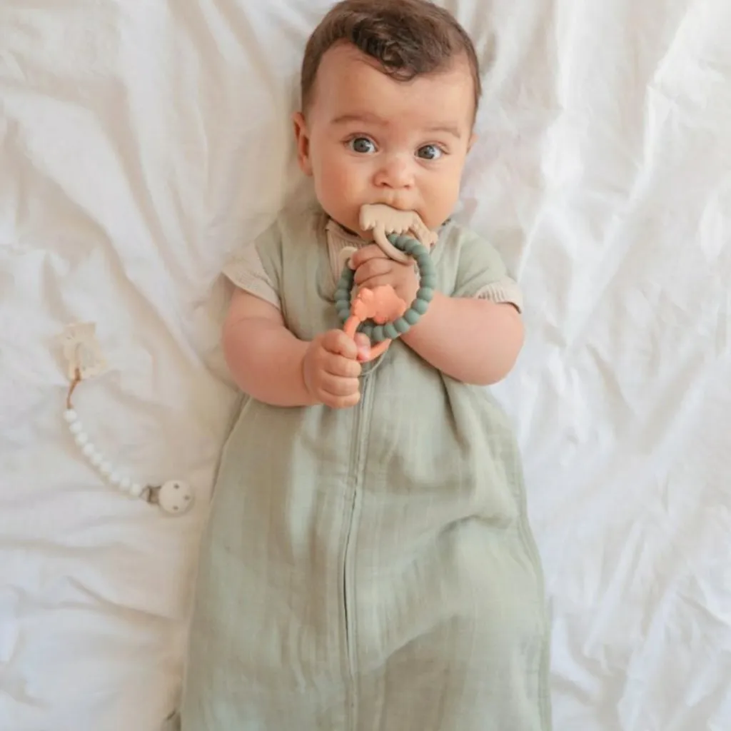 Best Jouet de dentition Ring Dino Jouet / Anneau De Dentition