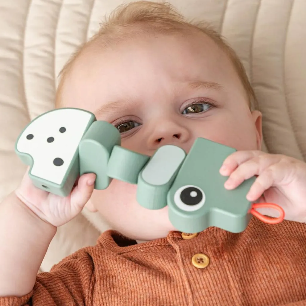 Hot Jouet d'éveil bois Croco Vert Jouet D'Activités