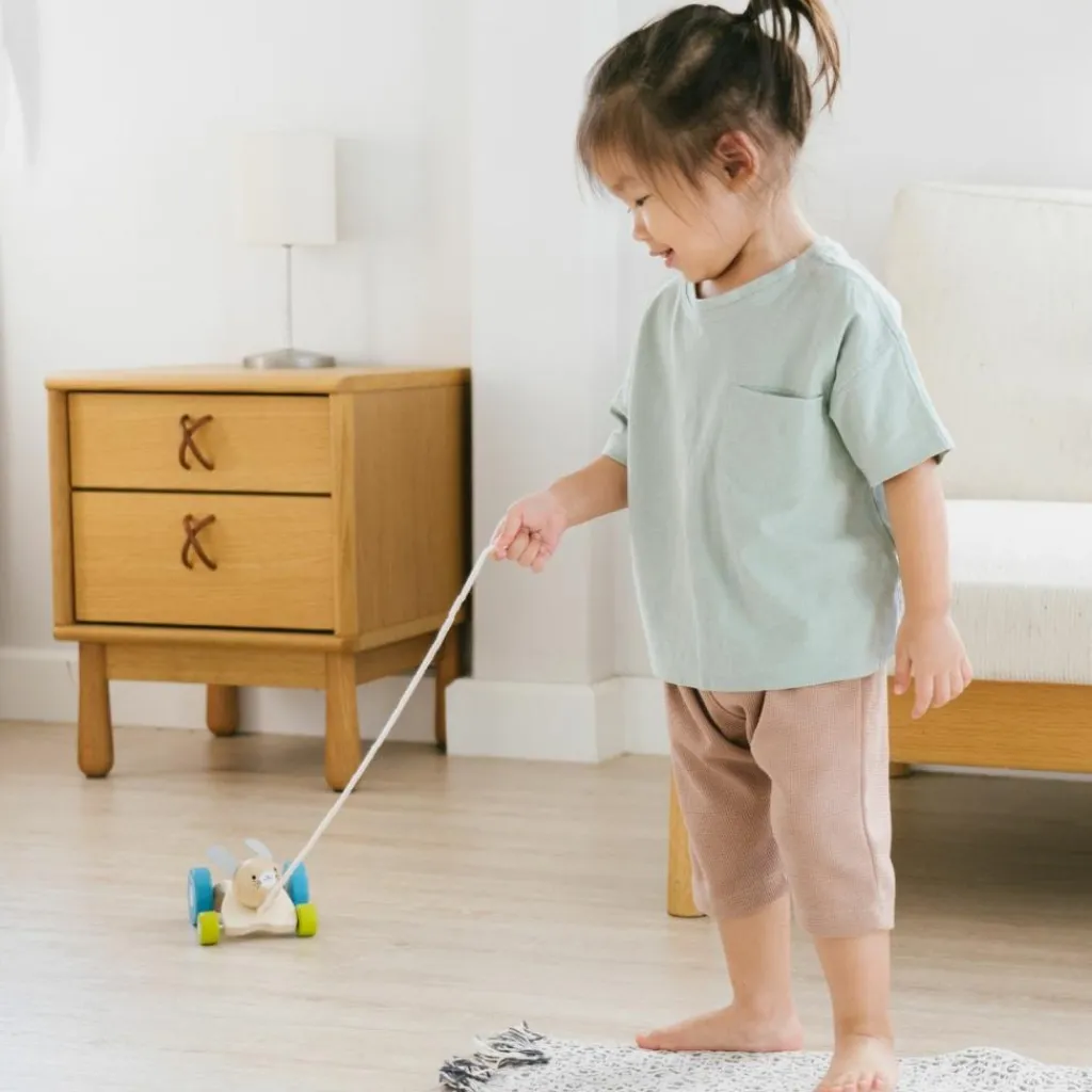 Discount Lapin sautillant à tirer Jouet À Tirer / Pousser