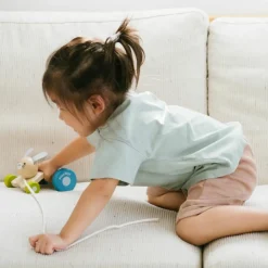 Discount Lapin sautillant à tirer Jouet À Tirer / Pousser