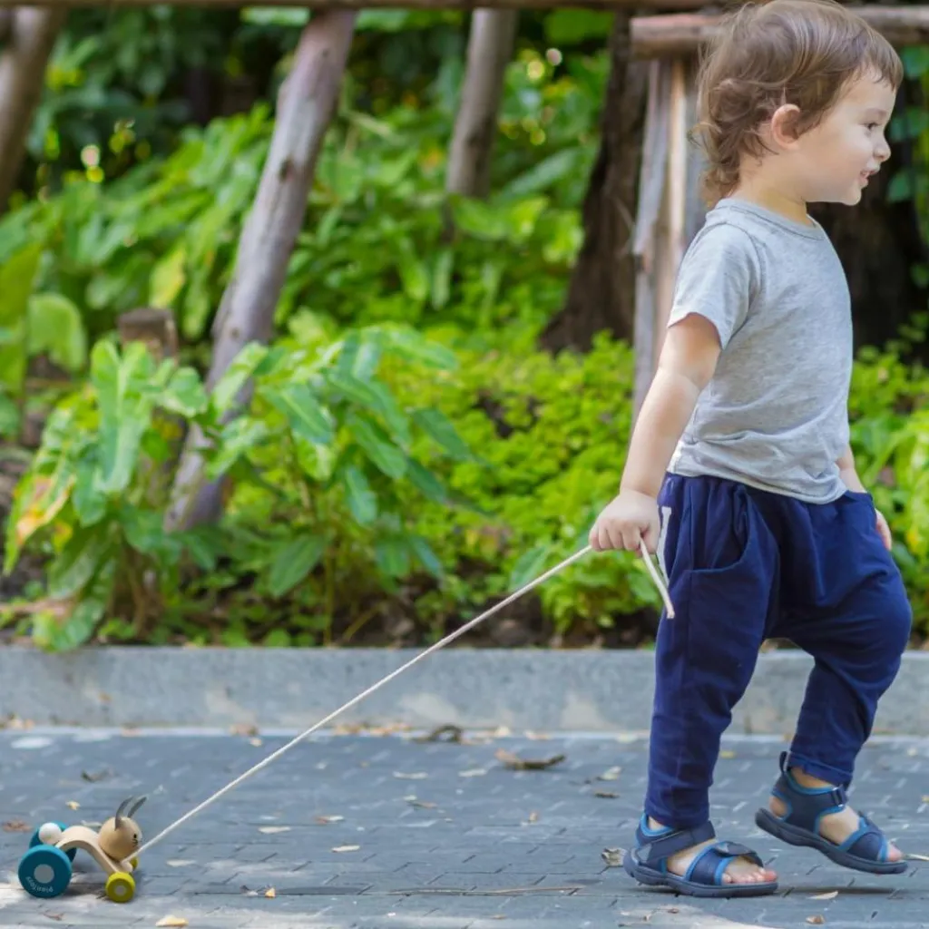 Discount Lapin sautillant à tirer Jouet À Tirer / Pousser