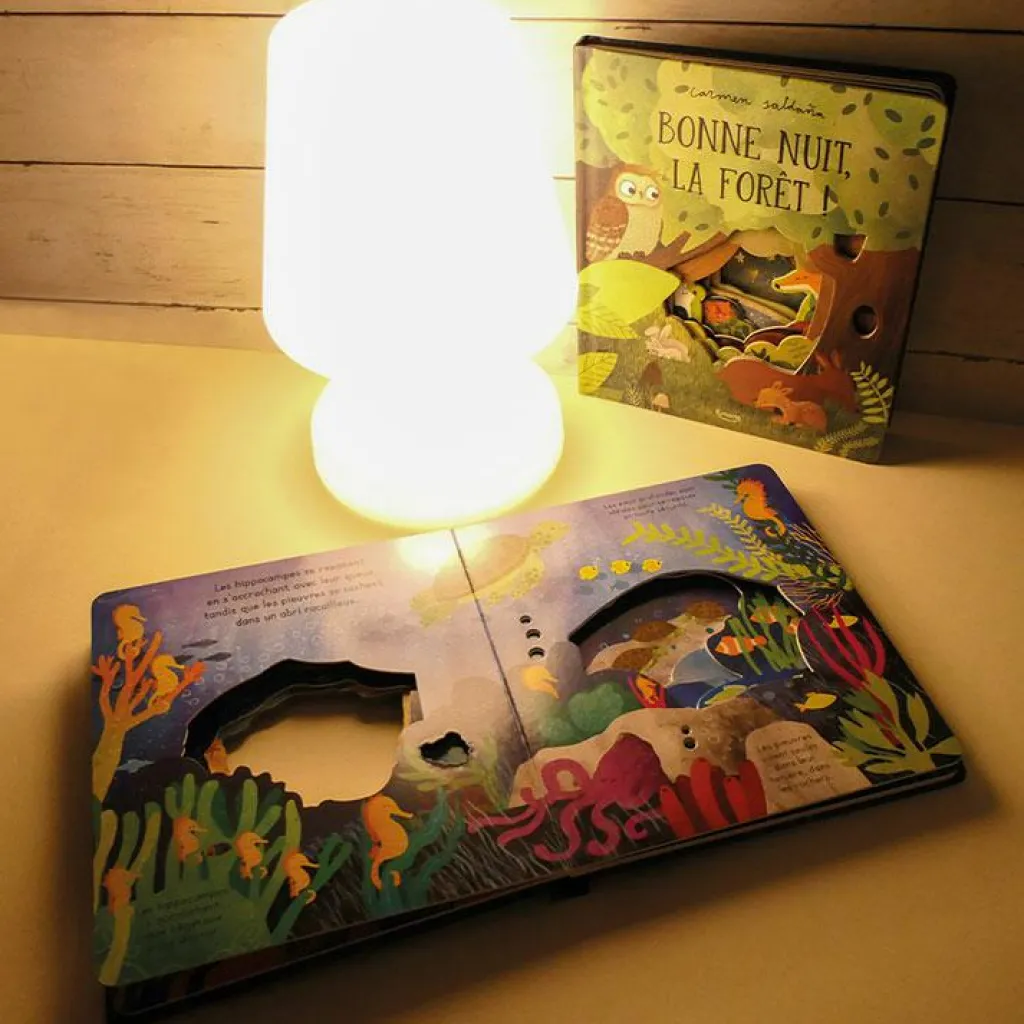 Best Livre Bonne nuit, l'océan ! Premiers Livres