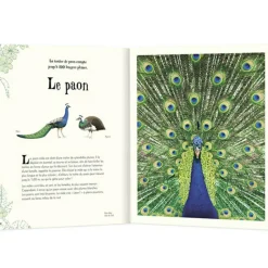 Outlet Livre L'anthologie illustrée des animaux fascinants Enfant Livre Enfant