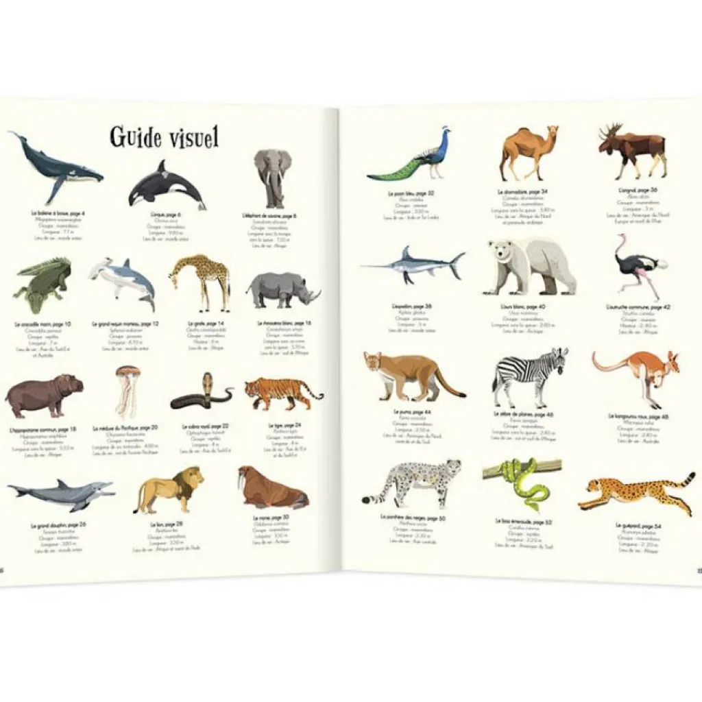 Outlet Livre L'anthologie illustrée des animaux fascinants Enfant Livre Enfant