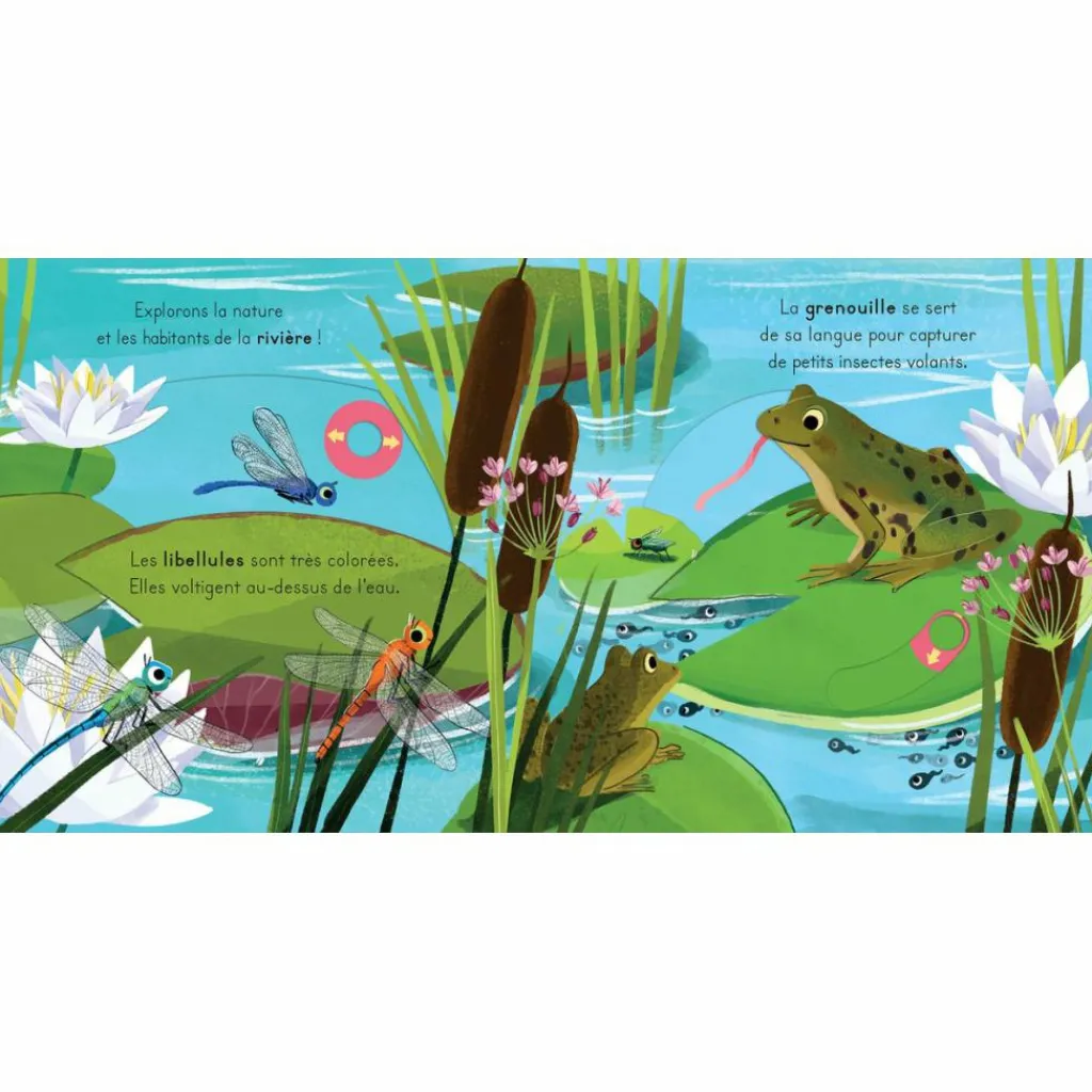 Sale Livre les petits explorateurs - La rivière Imagier