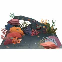 New Livre pop-up Trésors de l'Océan Enfant Livre Enfant