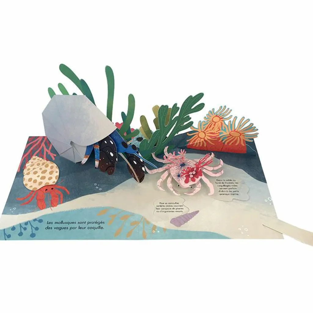 New Livre pop-up Trésors de l'Océan Enfant Livre Enfant
